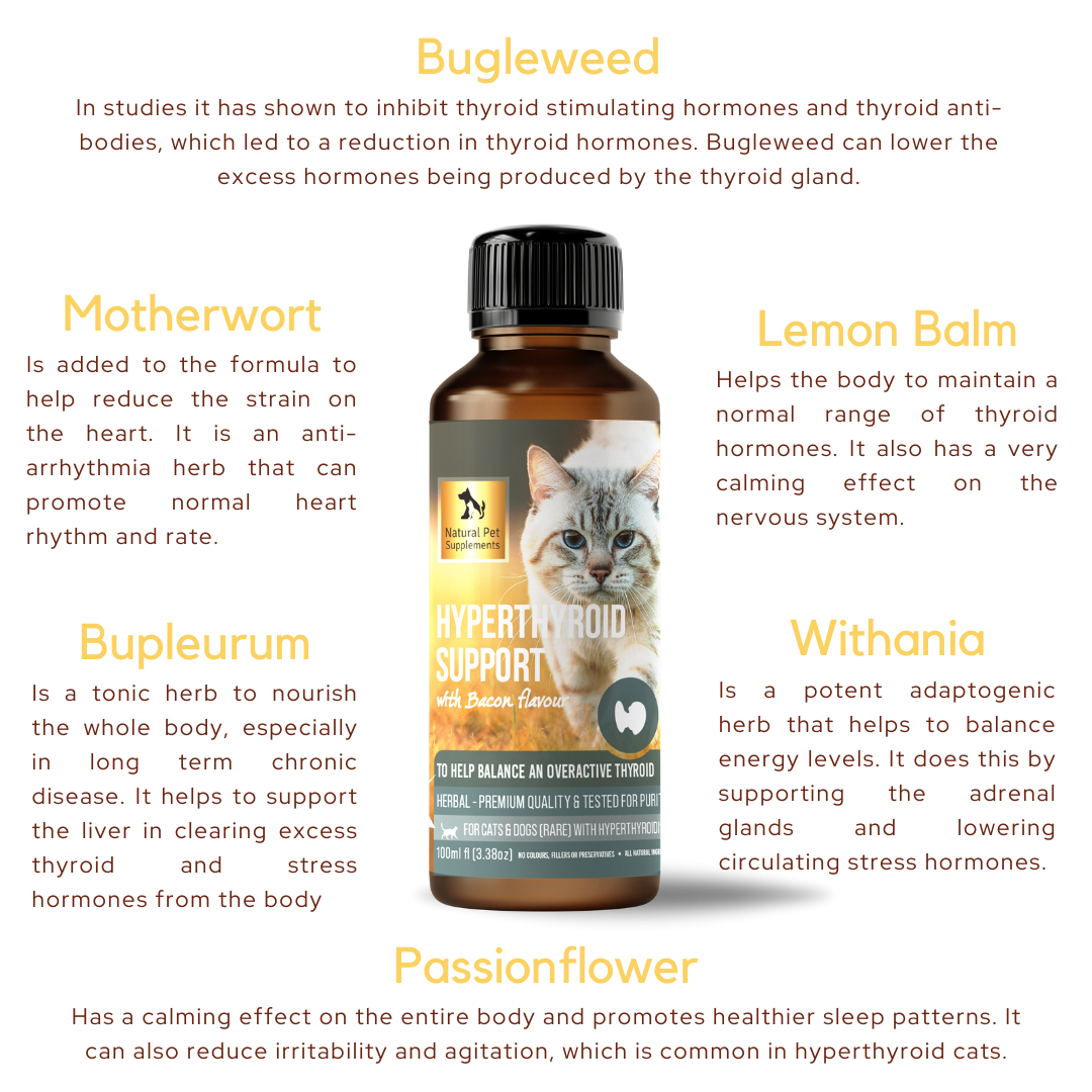 Hyperthyroid Support Herbal Tincture for Cats 100ml Natural Pet
